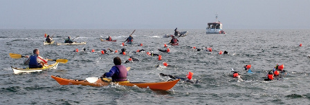 Groix Lomener – nage avec palmes -15 avril 2012