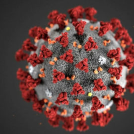 Actualités liées au coronavirus