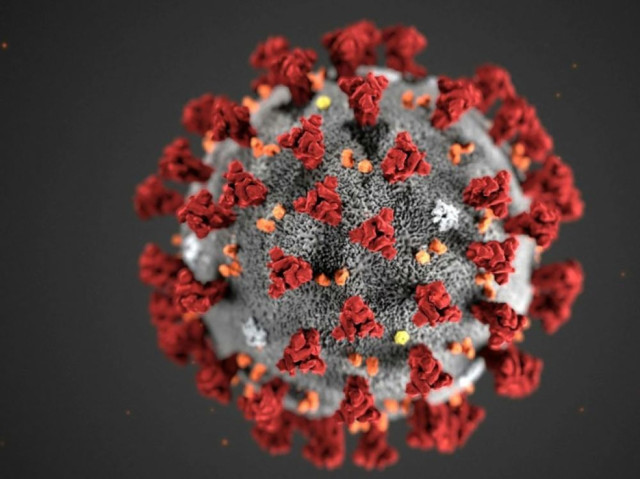 Actualités liées au coronavirus